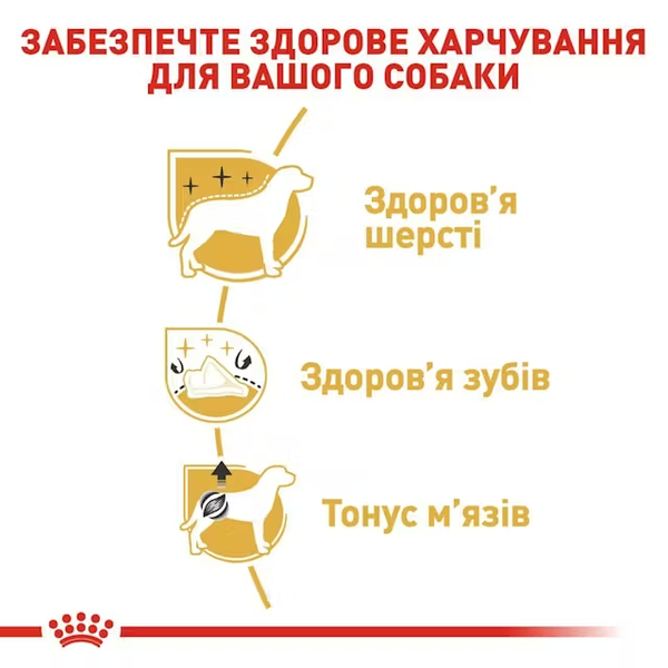 Сухий корм Royal Canin Poodle Adult, для дорослих собак породи пудель, 1,5 кг СП-00000691 фото