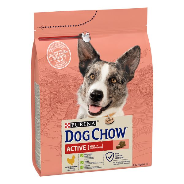 Сухий корм для активних собак Dog Chow Active з куркою, 2,5 кг 00-00018560 фото