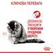 Влажный корм для взрослых кошек Royal Canin Hairball Care в соусе для выведения шерстяных комков, 85 г 00-00001669 фото 5