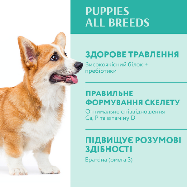 Сухий корм для цуценят усіх порід Optimeal Puppies All Breeds з індичкою, 12 кг 00-00018573 фото