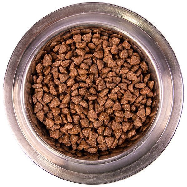 Корм сухий для собак малих порід Monge Dog Mini Adult з ягням рисом та картоплею, 15кг 00-00005063 фото