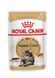 Royal Canin Mainecoon Adult влажный корм для котов породы Мейн-кун, 85 г 00-00001439 фото 1