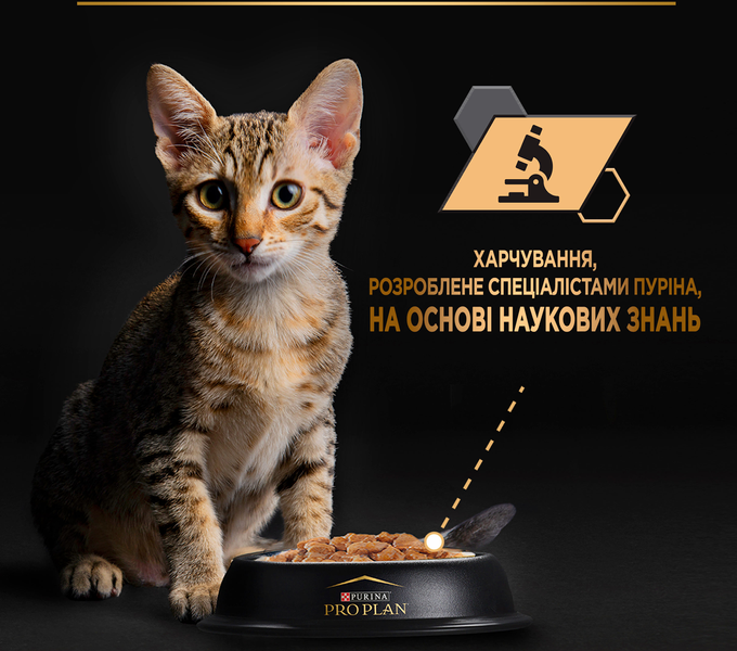 Вологий корм (паучі) Purina Pro Plan Kitten Healthy Start для кошенят з індичкою, 10 шт по 85 г СП-00000178 фото