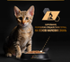 Вологий корм (паучі) Purina Pro Plan Kitten Healthy Start для кошенят з індичкою, 10 шт по 85 г СП-00000178 фото 6
