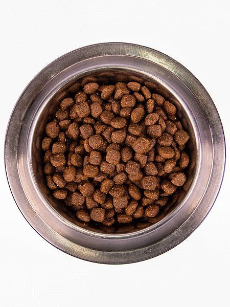 Сухий корм Monge (Монж) Monoprotein All Breeds для дорослих собак усіх порід з качкою, рисом та картоплею, 15 кг 00-00013689 фото