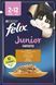 Влажный корм для котят Felix Fantastic Junior с кусочками курицы в нежном желе, 85 г 00-00000144 фото 1