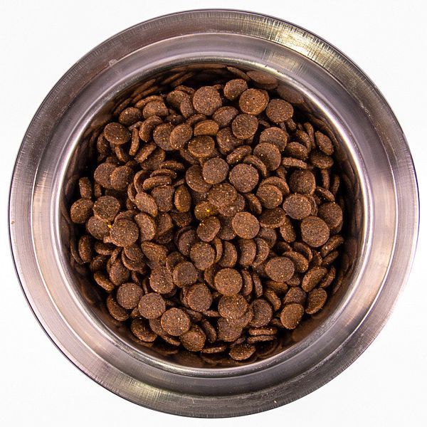 Monge Monoprotein All Breeds Puppy & Junior сухий корм для цуценят всіх порід, з лососем та рисом, 800 г 00-00005067 фото
