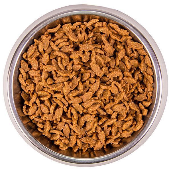 Сухий корм для дорослих котів усіх порід Monge Cat Adult Monoprotein з лососем, 1,5 кг 00-00005143 фото