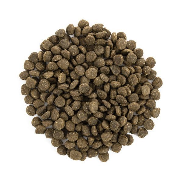 Сухий беззерновий корм для дорослих собак дрібних порід Brit Care Grain Free Mini Adult з ягням, 7 кг 00-00018472 фото