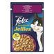 Вологий корм для дорослих котів Felix Sensations Jellies зі шматочками качки та шпинатом у ніжному желе, 85 г 00-00000146 фото 1