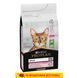 Сухий корм для дорослих котів із чутливою травною системою Purina Pro Plan Delicate з ягням, 10кг 00-00018148 фото 1