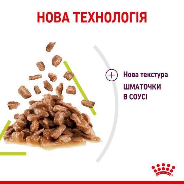 Вологий корм для дорослих котів Royal Canin Sensory Smell у соусі для стимуляції нюху, 85 г 00-00001431 фото