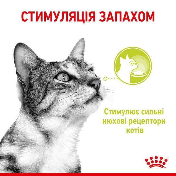 Вологий корм для дорослих котів Royal Canin Sensory Smell у соусі для стимуляції нюху, 85 г 00-00001431 фото