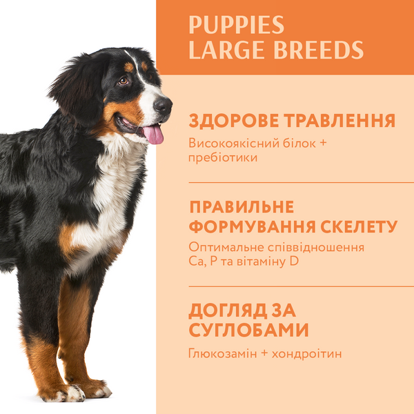 Сухий корм Optimeal (Оптіміл) Puppy Large Breeds для цуценят великих порід з індичкою, 12 кг 00-00007279 фото