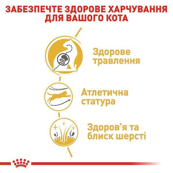 Сухий корм для дорослих котів бенгальської породи Royal Canin Bengal Adult, 2 кг 00-00001671 фото