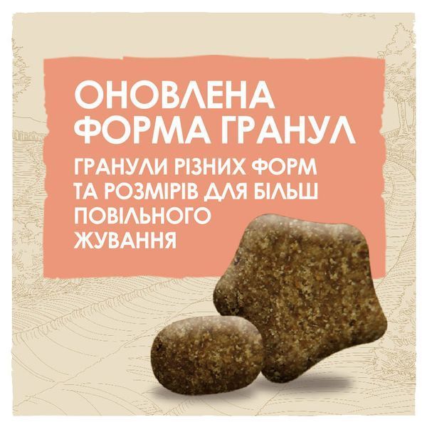 Сухий корм для активних та робочих собак усіх порід Dog Chow Active з куркою, 14 кг 00-00018561 фото