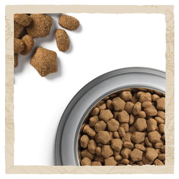 Сухий корм для активних та робочих собак усіх порід Dog Chow Active з куркою, 14 кг 00-00018561 фото