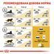 Сухий корм для дорослих котів бенгальської породи Royal Canin Bengal Adult, 2 кг 00-00001671 фото 4