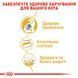 Сухий корм для дорослих котів бенгальської породи Royal Canin Bengal Adult, 2 кг 00-00001671 фото 6