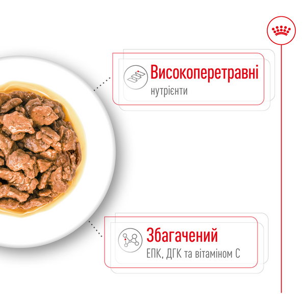 Влажный корм Royal Canin (Роял Канин) X-Small Adult для взрослых собак очень малых пород, 85 г 00-00017365 фото