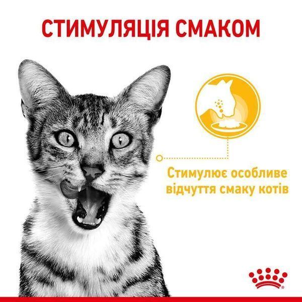Влажный корм для взрослых кошек Royal Canin Sensory Taste в соусе для стимуляции вкусовых ощущений, 85 г 00-00001432 фото