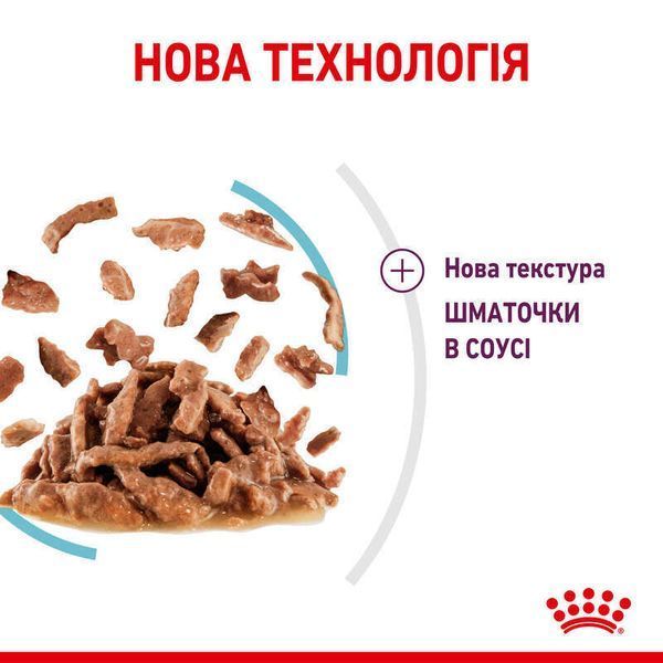 Влажный корм для взрослых кошек Royal Canin Sensory Feel в соусе для стимуляции ощущений от текстуры, 85 г 00-00001433 фото