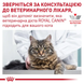 Вологий корм Royal Canin Renal (яловичина), 85 г 00-00001645 фото 4