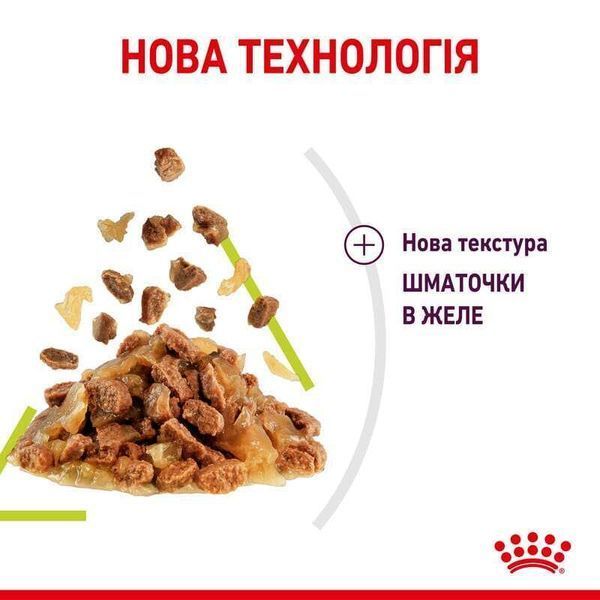 Вологий корм для дорослих котів Royal Canin Sensory Smell у желе для стимуляції нюху, 85 г 00-00001434 фото