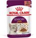 Корм вологий Royal Canin SENSORY TASTE GRAVY для котів привередливих до смаку їжі 85 г 1518001 фото 1