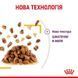 Royal Canin Sensory Taste Jelly влажный корм для кошек привередливых к вкусу, 85 г 00-00001435 фото 2