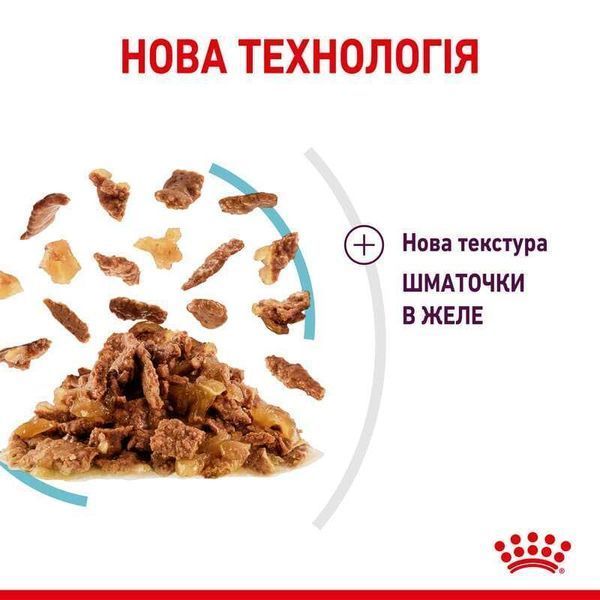 Вологий корм для дорослих котів Royal Canin Sensory Feel у желе для стимуляції відчуттів від текстури, 85 г 00-00001436 фото