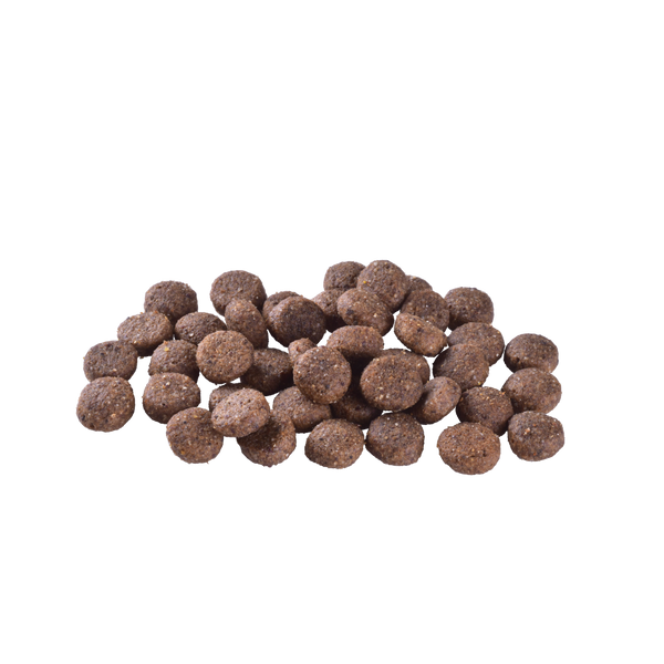Сухий беззерновий корм для дорослих собак усіх порід Brit Care (Бріт Кеа) Grain-Free Adult із лососем, 12 кг 00-00010782 фото