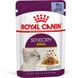 Корм вологий Royal Canin SENSORY SMELL JELLY для котів привередливих до аромату їжі в желе 85 г 15270010 фото 1