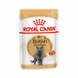 Влажный корм для взрослых кошек породы британская короткошерстная Royal Canin British Shorthair Adult, 85 г 00-00001440 фото 1
