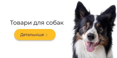 Banner from design