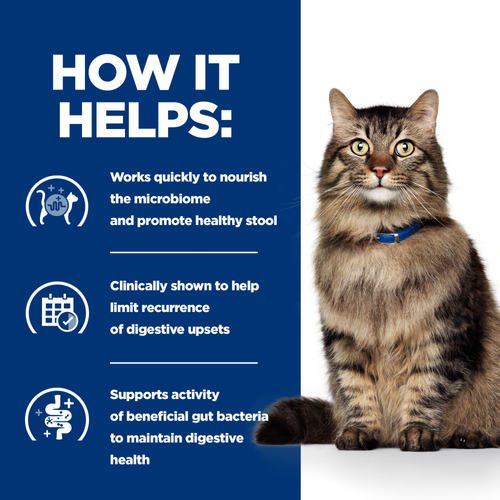 Сухий корм Hill's Prescription Diet Gastrointestinal Biome Digestive Care, для підтримки здоров'я ШКТ котів, 3 кг 00-00008010 фото