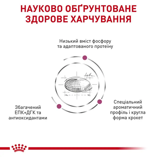 Royal Canin Renal Cat (Роял Канін Ренал) &mdash; дієтичний сухий корм для котів для підтримки функцій нирок, 2 кг 00-00019076 фото