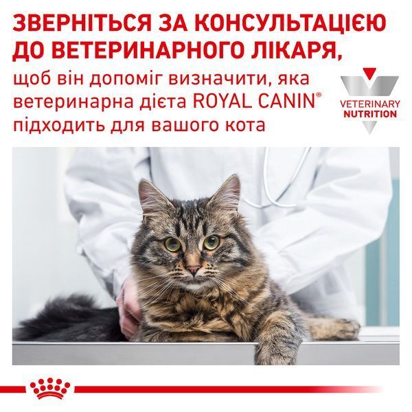Royal Canin Renal Cat (Роял Канін Ренал) &mdash; дієтичний сухий корм для котів для підтримки функцій нирок, 2 кг 00-00019076 фото