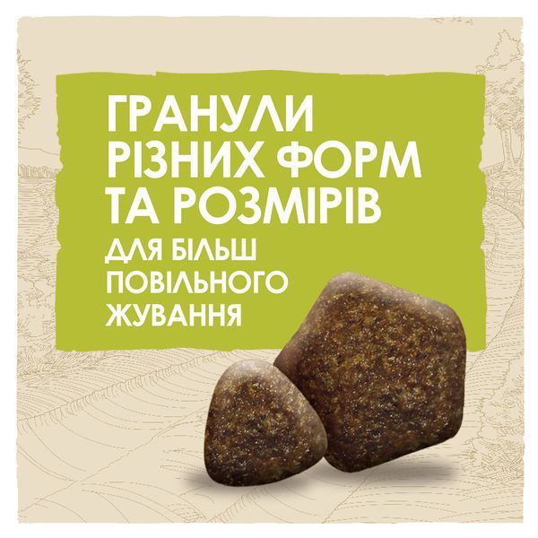 Dog Chow Large Breed (Дог Чау Ладж Брід) &mdash; сухий повнораціонний корм для дорослих собак великих порід, з індичкою, 14 кг 00-00000283 фото