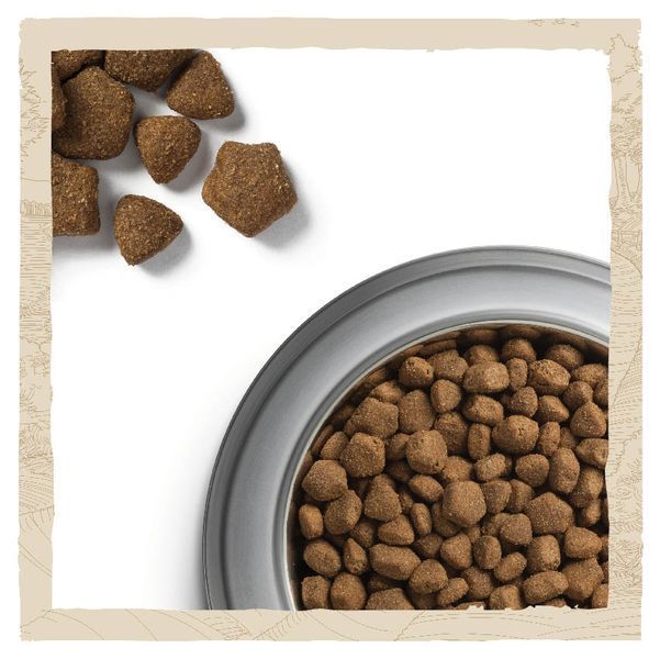 Dog Chow Large Breed (Дог Чау Ладж Брід) &mdash; сухий повнораціонний корм для дорослих собак великих порід, з індичкою, 14 кг 00-00000283 фото