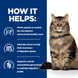 Сухий корм Hill's Prescription Diet Gastrointestinal Biome Digestive Care, для підтримки здоров'я ШКТ котів, 3 кг 00-00008010 фото 5
