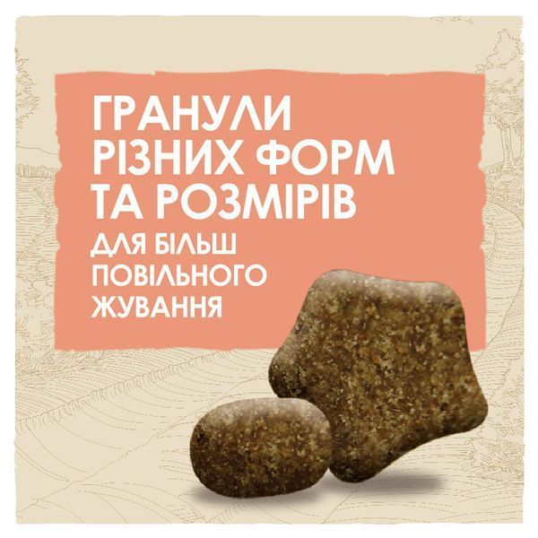 Сухой корм для взрослых собак Purina Dog Chow Sensitive с лососем, 14 кг 00-00000286 фото