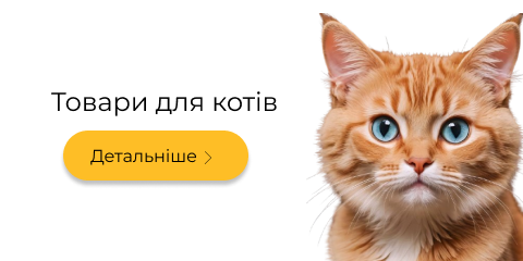 Коти