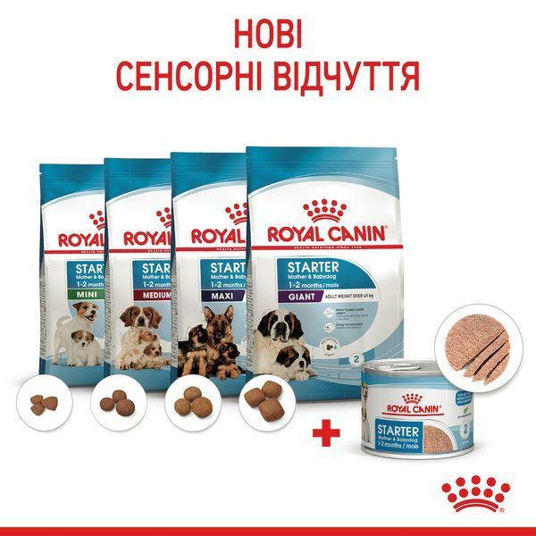 Royal Canin Starter Mother&Babydog Mousse Cans вологий корм для цуценят до 2 місяців, 195 г 00-00001658 фото