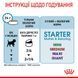 Royal Canin Starter Mother&Babydog Mousse Cans вологий корм для цуценят до 2 місяців, 195 г 00-00001658 фото 3