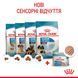 Royal Canin Starter Mother&Babydog Mousse Cans вологий корм для цуценят до 2 місяців, 195 г 00-00001658 фото 4