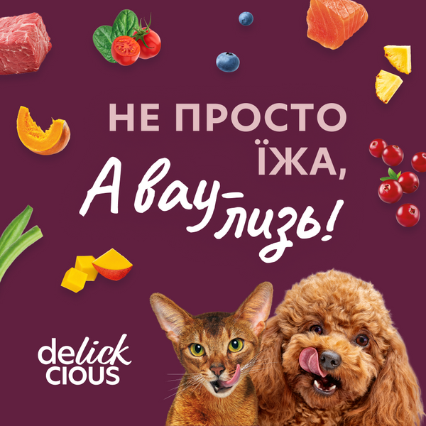 Корм влажный для кошек Delickcious хлопья с уткой и лесными ягодами в соусе 80 г СП-00000067 фото