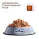 Сухий корм для дорослих стерилізованих котів Club 4 Paws Premium Sterilised з куркою, 14 кг 00-00018086 фото 2