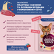 Корм влажный для кошек Delickcious хлопья с уткой и лесными ягодами в соусе 80 г СП-00000067 фото 2
