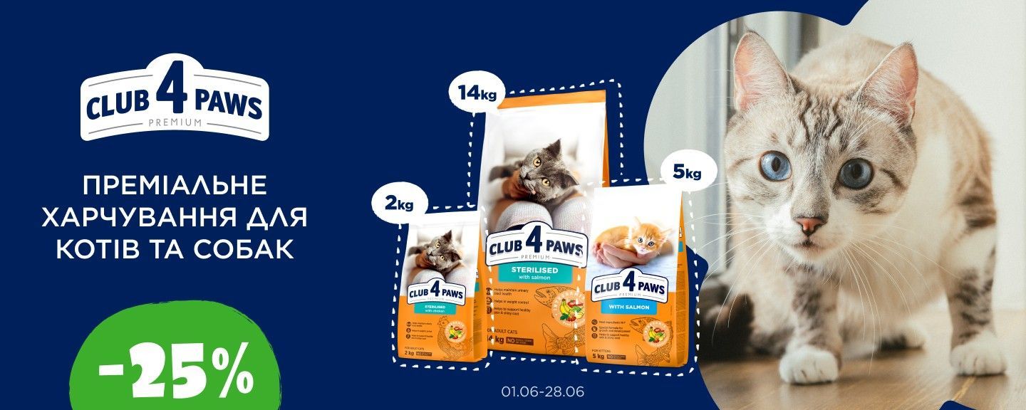 Клуб 4 лапи коты